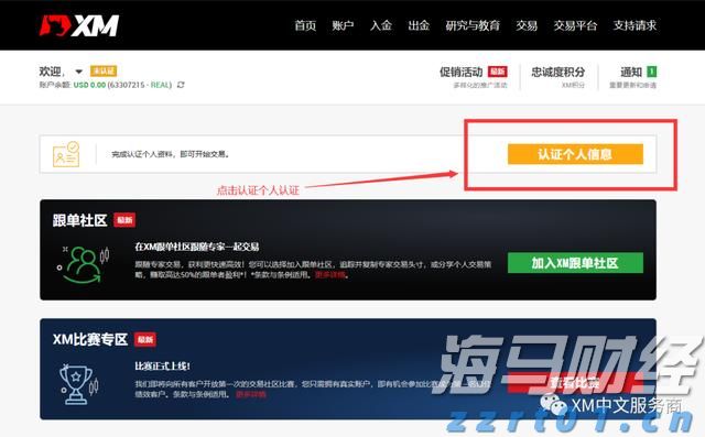 模因股热潮席卷美股：散户利用社交媒体推高股价，机构发出警示