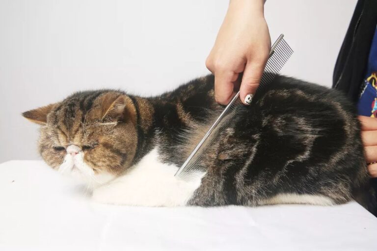 《农村公路条例》自9月15日起施行