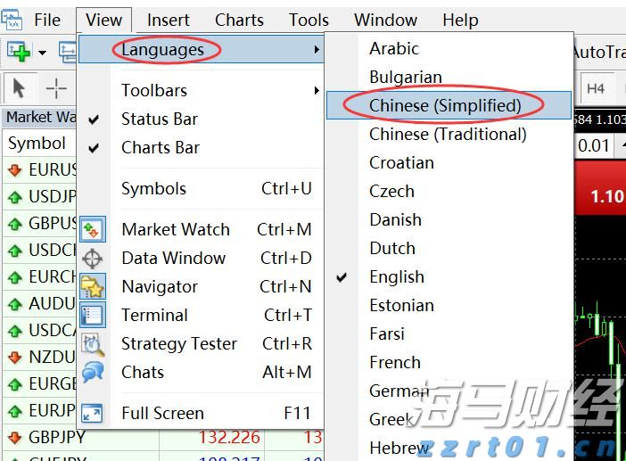 中国IPv6用户持续增长至2025年6月达8.34亿，展现积极发展态势