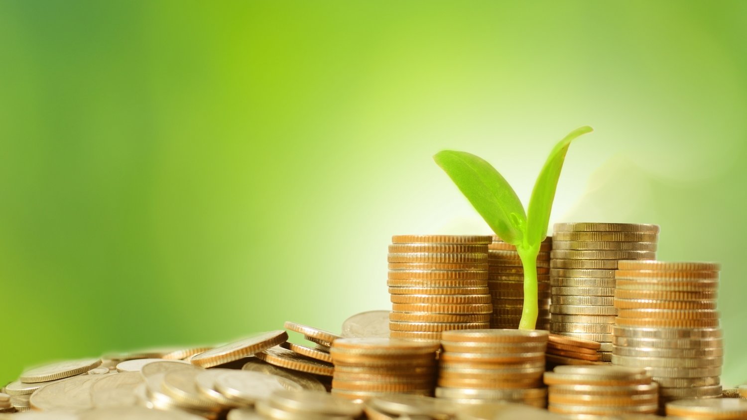 “欢乐‘六一’，科学奇旅”儿童节主题活动举行