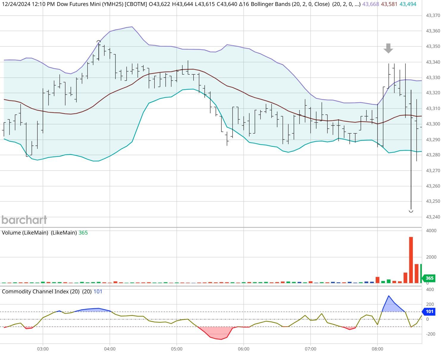 梅州海关供港澳活猪远程检疫监装模式正式启动